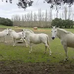 La Torrecilla Con Piscina Privada *