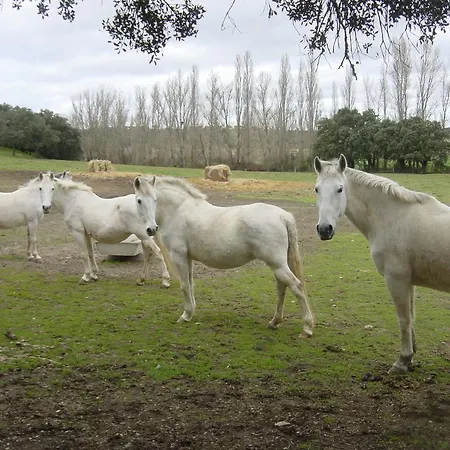 La Torrecilla Con Piscina Privada *