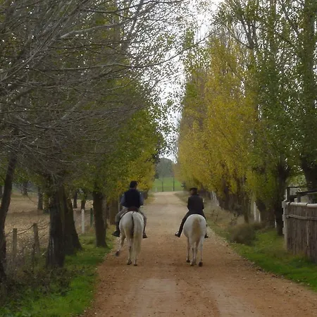 La Torrecilla Con Piscina Privada