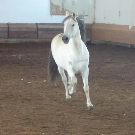 La Torrecilla Con Piscina Privada Country house San Pedro Del Valle
