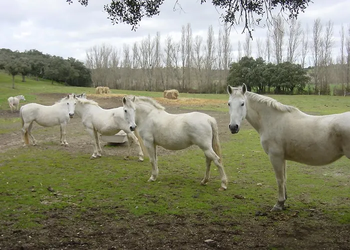 La Torrecilla Con Piscina Privada *