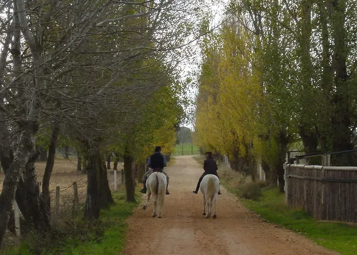 La Torrecilla Con Piscina Privada