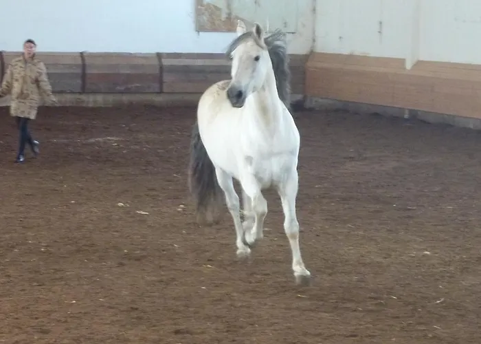 La Torrecilla Con Piscina Privada Landsted San Pedro Del Valle
